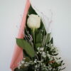 Foto de una rosa blanca