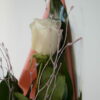 Foto de una rosa blanca